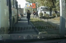 В Воронеже наказали водителя автобуса, объехавшего пробку по тротуару