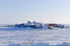 В Ненецком округе началась убойная кампания