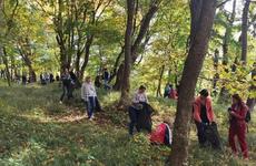 Традиционную осеннюю уборку провели в Ставрополе