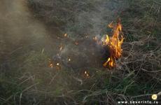 В лесах Вологодчины завершился пожароопасный сезон