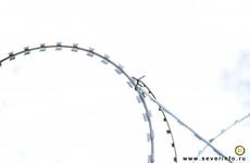 В Вологодской области отправлен на лечение мужчина, домогавшийся семилетней девочки