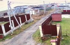 Появилось видео из Ленобласти, где легкий самолет совершил жесткую посадку