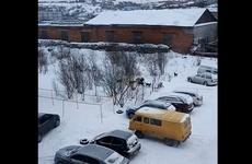 СКР начал проверку после нападения бродячих собак на ребёнка под Мурманском