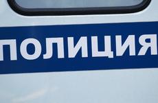 В Михайловском районе полицейские раскрыли кражу