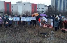 Воронежцы вышли на митинг в защиту яблоневого сада