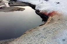 Прокуратура заинтересовалась "кровавым озером" в Омской области
