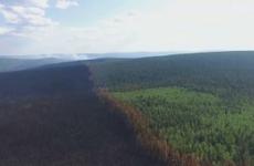Лесные пожары на площади 7,5 тыс. гектаров потушили в Иркутской области