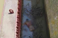 Тело мужчины было обнаружено на Ставрополье в отстойнике ГЭС