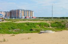 В Нарьян-Маре появится площадка для выгула и дрессировки собак