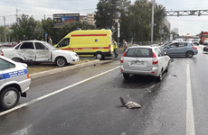 Два человека ранены в лобовом ДТП с маршруткой на Ставрополье