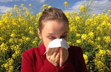 В Ненецком автономном округе люди меньше всего страдают от аллергии