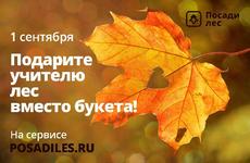 Жители НАО могут присоединиться к всероссийской акции «Лес вместо букета»