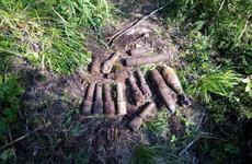 В Вытегорском районе полицейские взяли под охрану место обнаружения находки времен Великой Отечественной войны