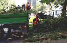 Спасатели устранили последствия сильного ветра в Ставрополе
