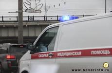 Крысы покусали детей в Вологодской школе
