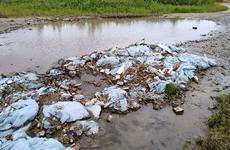 В Нарьян-Маре ликвидировано более 10 несанкционированных свалок