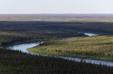 В природном парке «Северный Тиман» природоохрана НАО изъяла браконьерские сети
