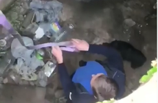 Ростовчане спустились в глубокий колодец, чтобы спасти испуганную собаку