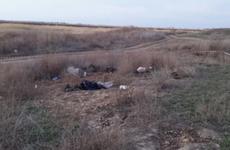 Следователи Волгограда и Калмыкии ищут убийц таксиста