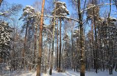 Заблудившийся житель севера Камчатки выжил, трое суток спасаясь от 20-градусного мороза возле костра