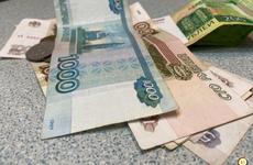 На грантовую поддержку в размере 30 млн. рублей могут рассчитывать некоммерческие организации Вологодской области