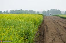 В Томской области разработают шесть цифровых платформ в сфере АПК