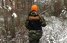 В районе поисков пропавшего под Смоленском подростка нашли труп
