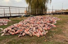 В Азовском районе задержали браконьеров с 2 тоннами рыбы