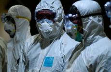 Почти 20 тысяч заболевших CoVID-19: новая статистика от губернатора Ставрополья