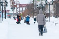 В Ненецком округе с начала года выдано 186 сертификатов на региональный материнский капитал