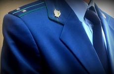 Администрация Владивостока должна определить муниципальную организацию для отлова бездомных животных  прокуратура