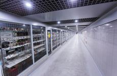 Власти Ростовской области понадеялись на отсутствие коронавирусных ограничений в 2021 году