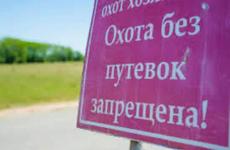 Житель региона наказан за охоту без разрешения
