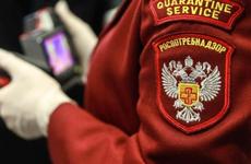 Детсады Ставрополья оштрафовали почти на полмиллиона рублей