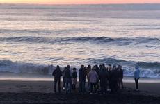 Генпрокуратура взяла под контроль экологическую ситуацию на Камчатке