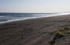 Власти Камчатки объяснили следы на «мертвом пляже» активностью отдыхающих