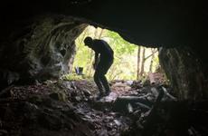В Приморье найдены останки неизвестных науке зайцеобразных животных