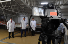 Яйца из Ленинградской области экспортируются в Арабские Эмираты