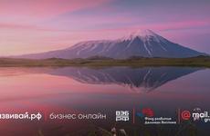 Приморских предпринимателей пригласили на вебинары по созданию онлайн-магазинов