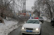 ГИБДД Владивостока призывает водителей к осторожности в условиях непогоды