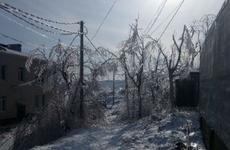 Студентам и сотрудникам ДВФУ рекомендовали не посещать кампус 23-24 ноября