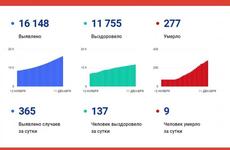 365 жителей Вологодской области заболели коронавирусом