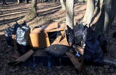 В Ставрополе после обращения к губернатору началась уборка Члинского леса