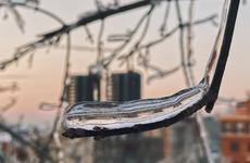 Ограничения на погранпереходах и ледяной дождь повысили инфляцию в Приморье