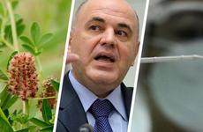 Коронавирус на Ставрополье 22 декабря: семеро погибли, плату за «дистанционку» могут снизить, CoVID-19 предлагают лечить растениями