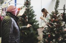 Дегтярев проявил недюжинную сообразительность и объявил 31 декабря выходным