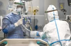 Коронавирус на Ставрополье: данные на 27 декабря