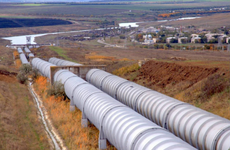 Власти Ставрополя отказались от идеи срубить 33 тысячи деревьев под строительство водовода