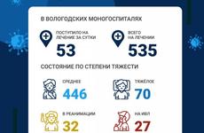 Еще 371 человек заболел коронавирусом в Вологодской области