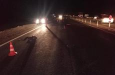 На Ставрополье в результате массового ДТП погибло два человека